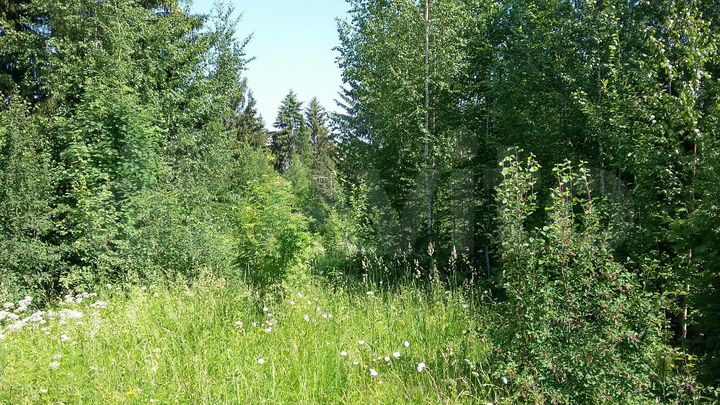 Участок 57,2 га (СНТ, ДНП)