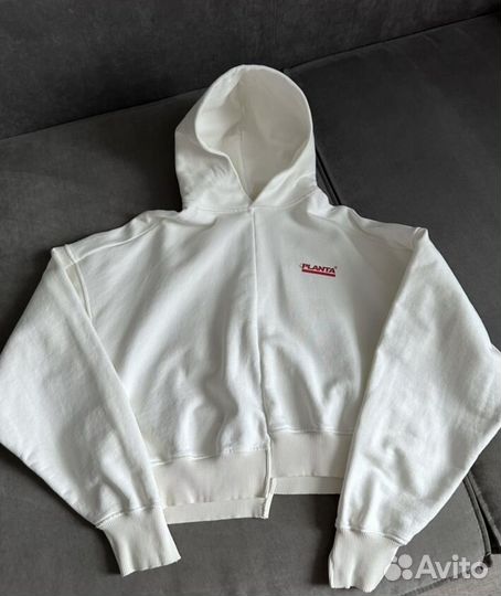 Planta rosa худи