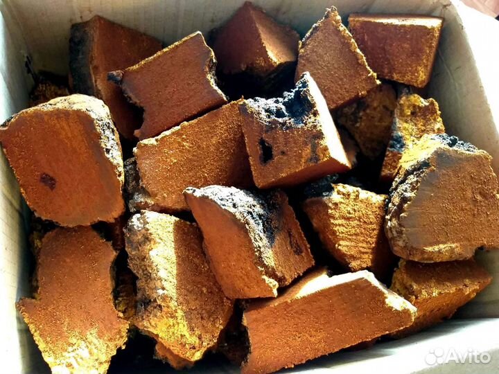 Березовый гриб Чага (бесплатная доставка)