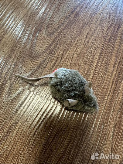 Игрушки для кота - на фото разные