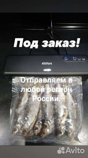 Икряная жирненькая сорожка