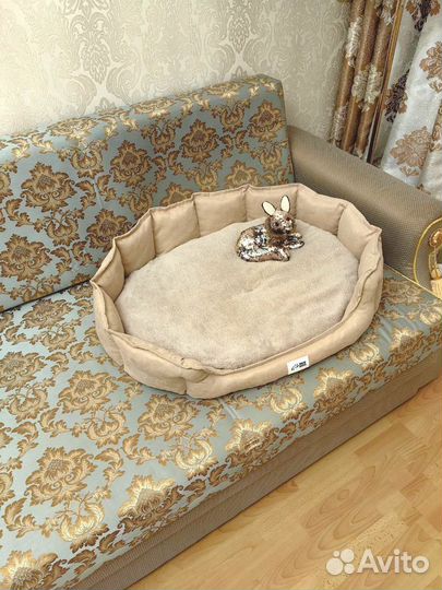 Лежанка новая для собак и кошек