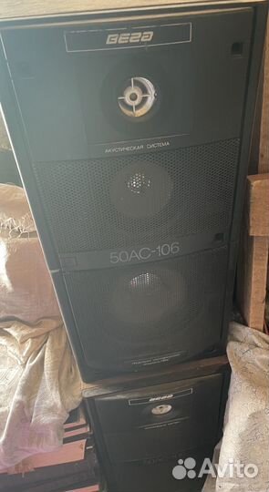 Акустические колонки Вега 50ас106