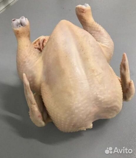 Мясо домашнего бройлера