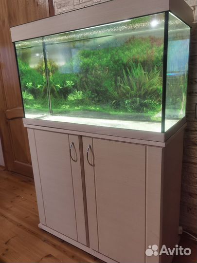 Аквариум ZelAqua 120 литров с тумбой