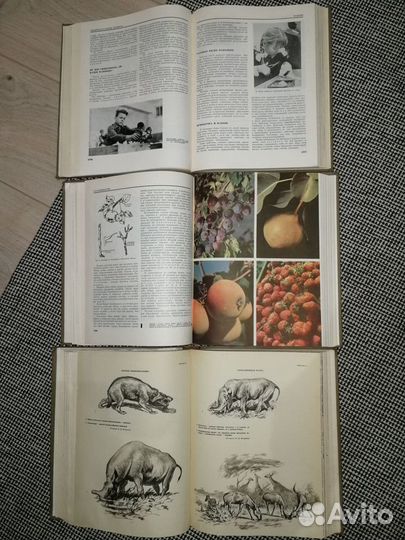 Детская энциклопедия (ссср)