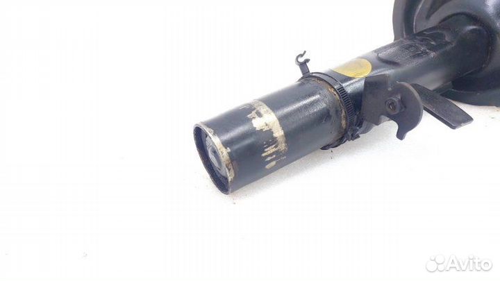 Амортизатор подвески правый Ford Focus 3 iqdb 2016