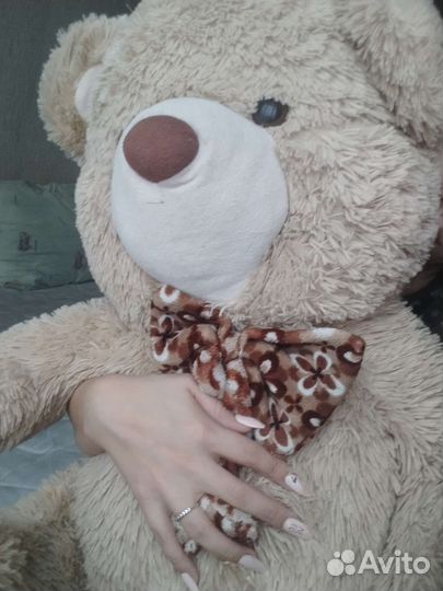 Плюшевый медведь