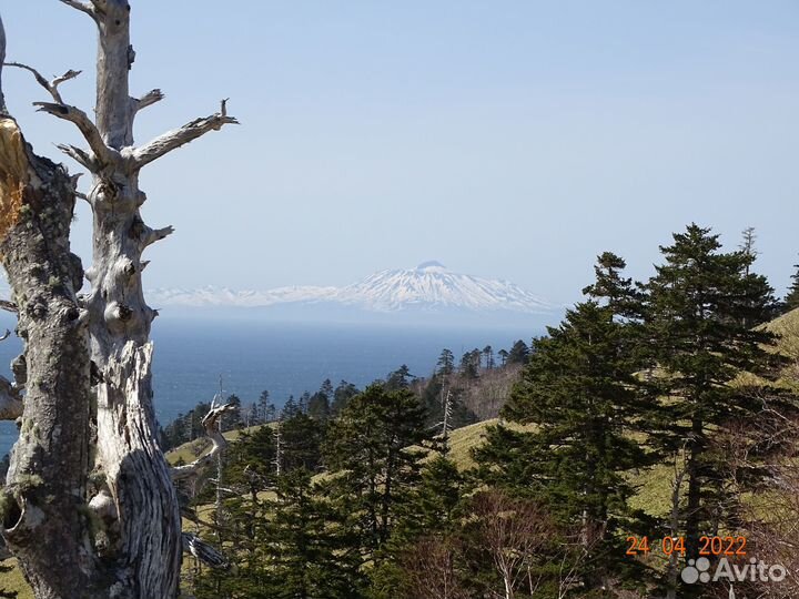 Джип-туры по острову Шикотан
