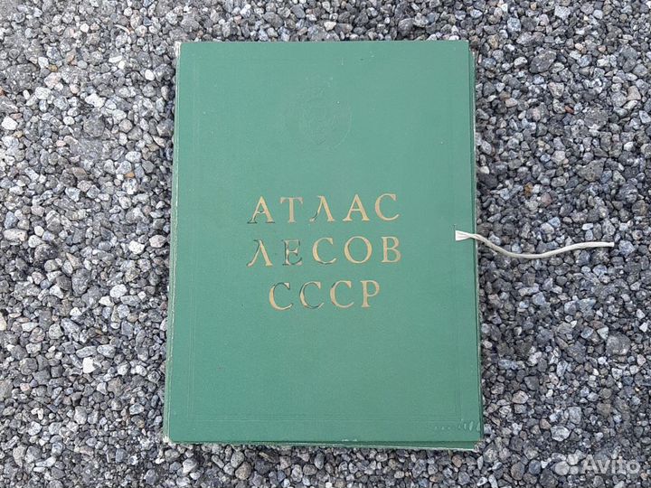 Атлас лесов СССР 1973