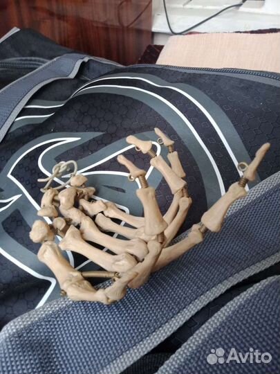 Скелет кисть муляж