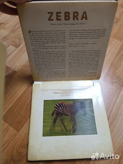 Книга на английском