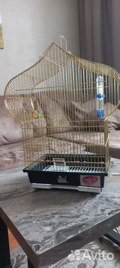 Клетка для попугая