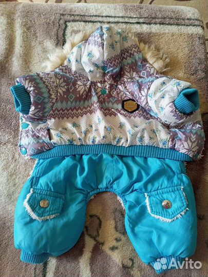 Вещи для маленькой собачки