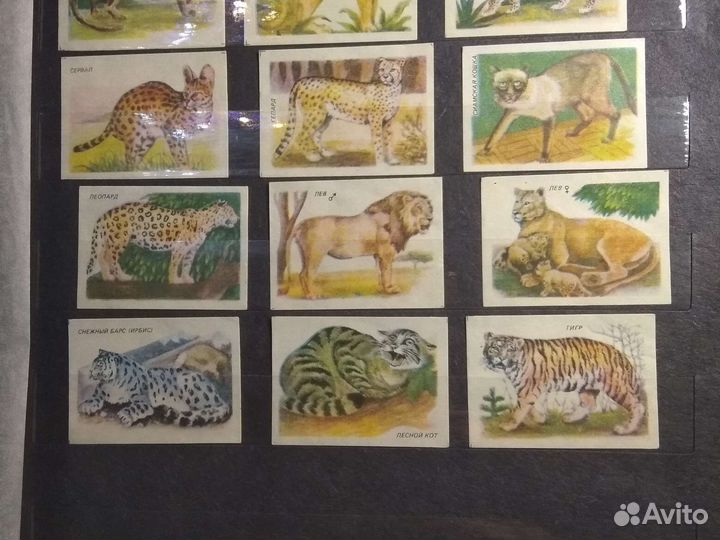 Коллекционная этикетка