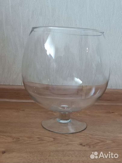 Аквариум бокал