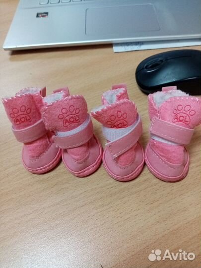 Ботиночки для маленькой собачки