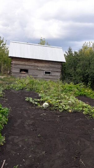 Дача 18 м² на участке 20 сот.