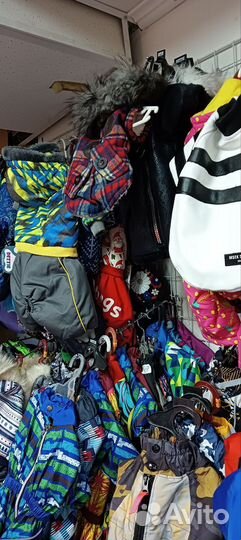 Одежда для собак