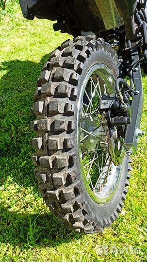 Raser panthera 250
