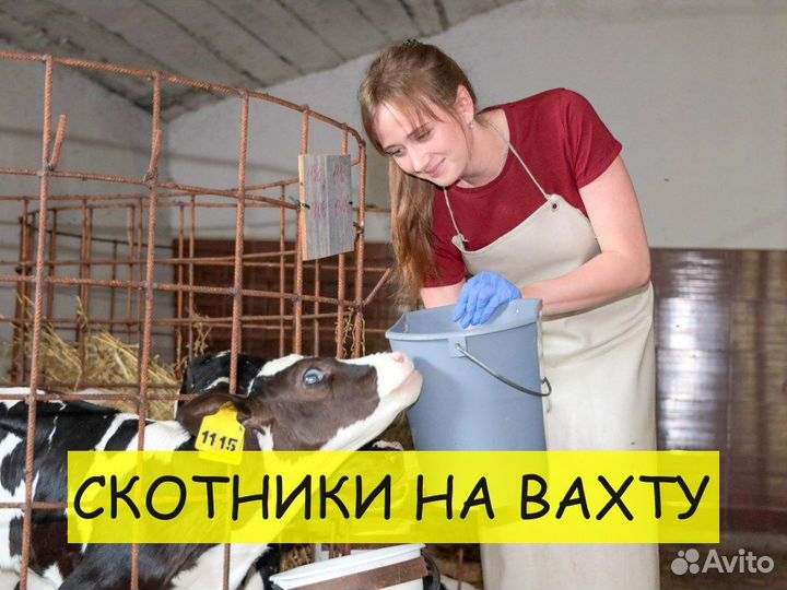 Скотник на производство Вахта Хорошие условия 18+