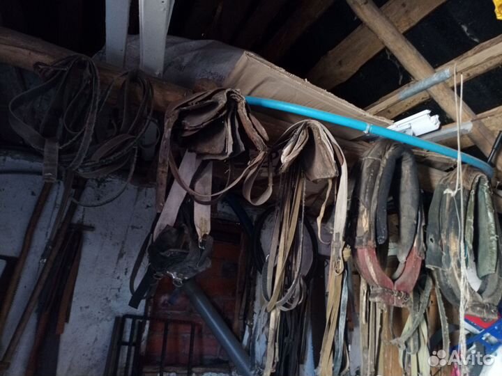 Конная амуниция