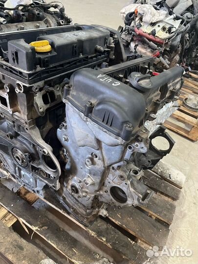 Двигатель Kia Ceed Solaris Под заказ Новый Мотор