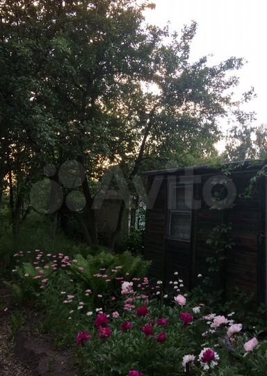 Участок 6,9 сот. (СНТ, ДНП)