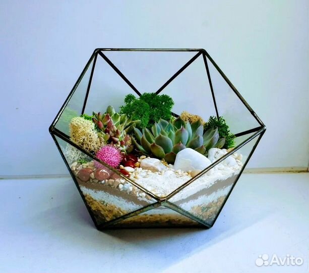 Подарочный набор «собери сам флорариум»