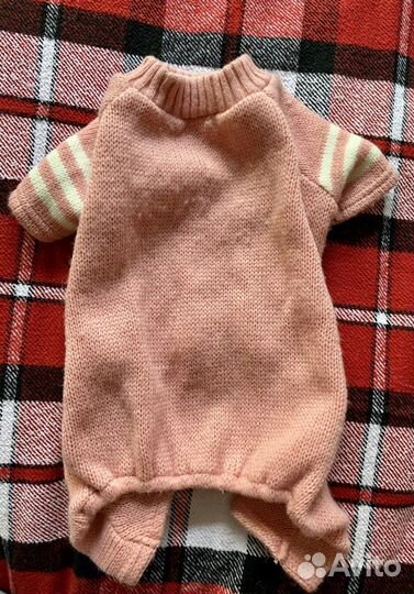 Комбинезон для собаки