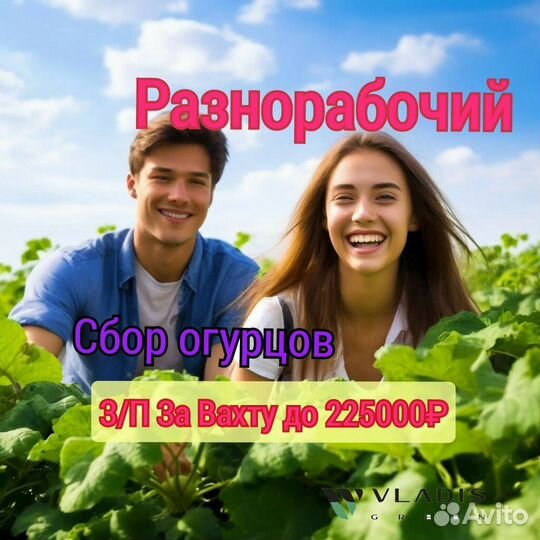 Вахта с проживанием и питанием сбор огурцов Д053