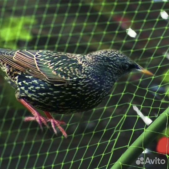 Сетки от птиц