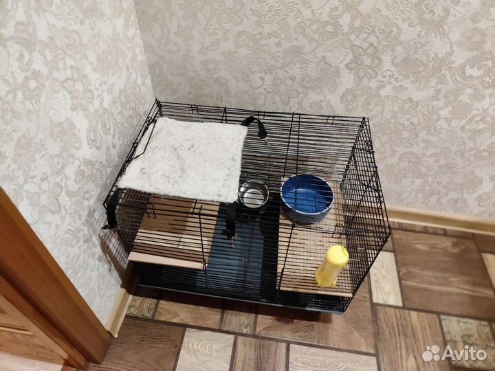 Клетка и все необходимое для шиншилл