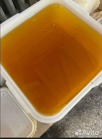 Оптом жидкий эспарцетовый мед