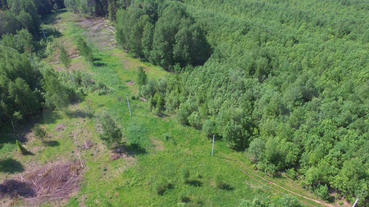 Участок 10 сот. (ИЖС)