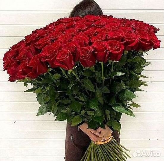 Высокие Розы Гиганты Доставка Круглосуточно