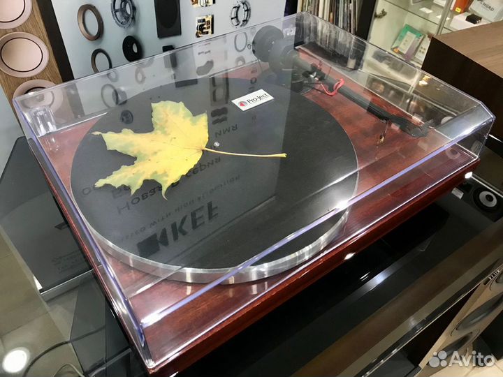 Виниловый проигрыватель Pro-Ject 1XPression Carbon