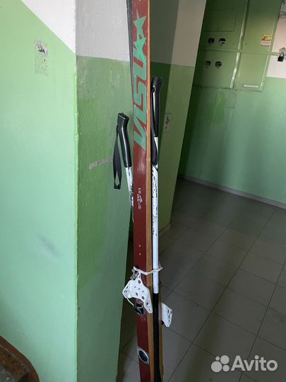 Беговые лыжи