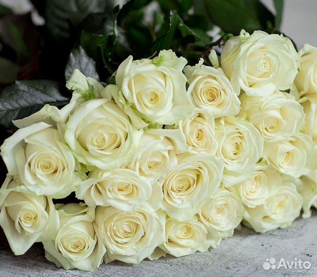 Длинные высокие розы 110 150 160 180 200 см