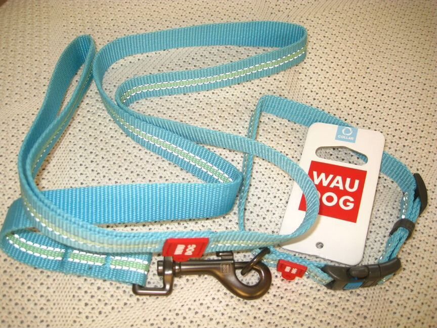 Поводок и ошейник (XS) Collar WauDog