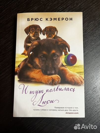 Книга: И тут появилась Люси