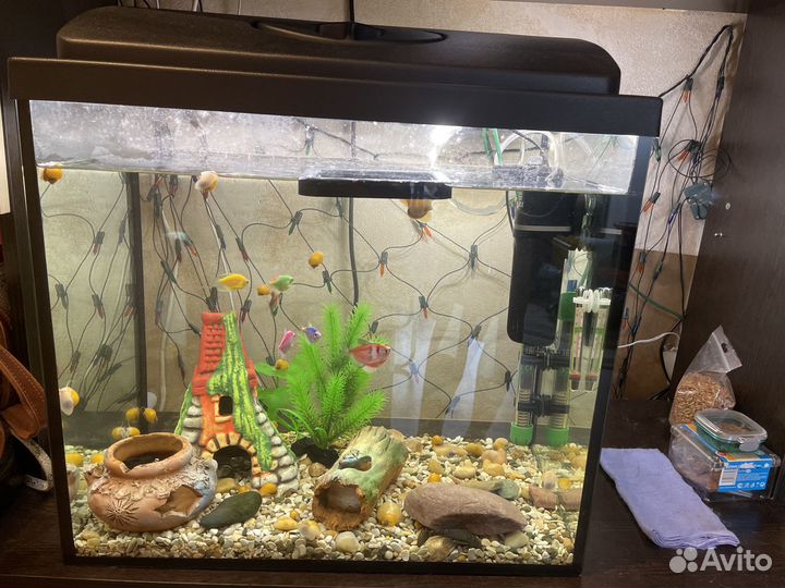 Аквариум с необходимыми принадлежностями, рыбками