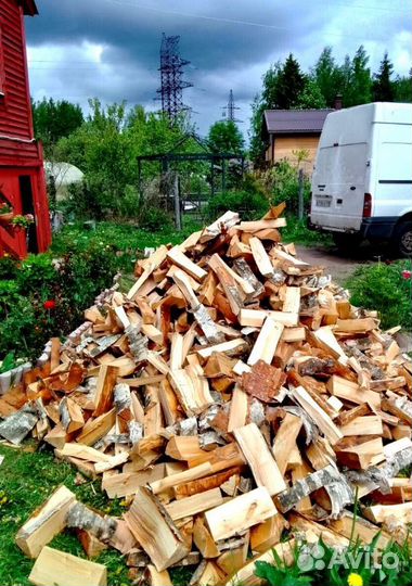 Дрова сегодня