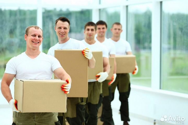 Грузчик разнорабочий с ежедневной оплатой