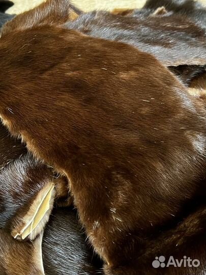 Мех, шкурки