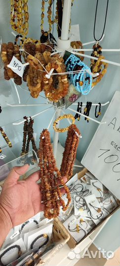 Янтарный Жук