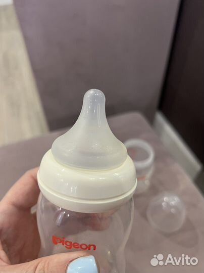 Бутылочки для кормления pigeon