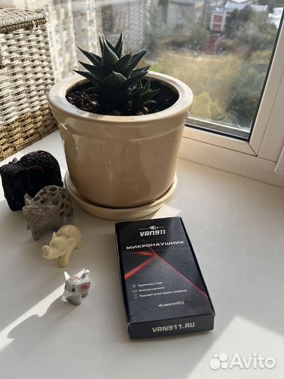 Микронаушник аренда