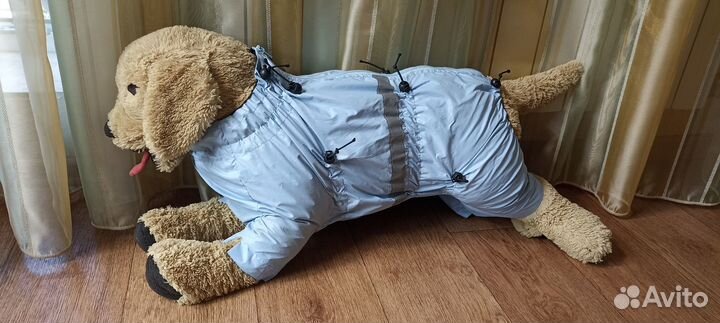 Одежда для собак