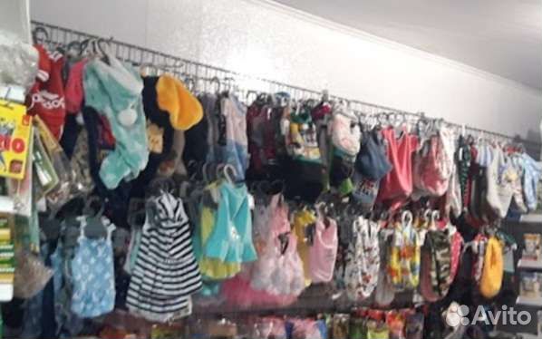 Одежда для собак